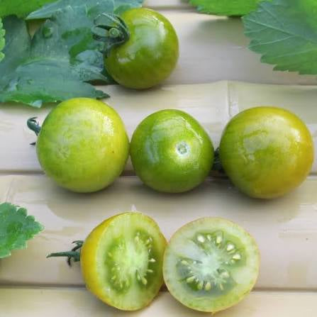 Green Doctors Cherry Tomato