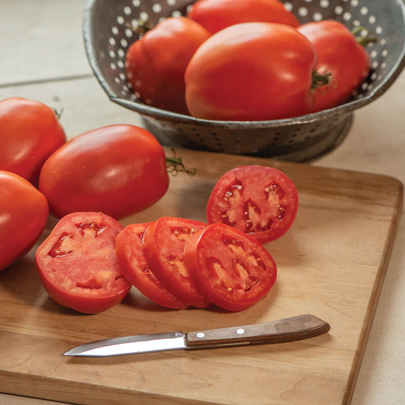 Cipolla's Pride
Organic Tomato Seed