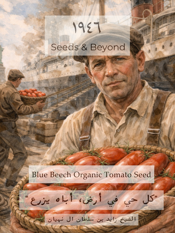 Blue Beech
Organic Tomato Seed