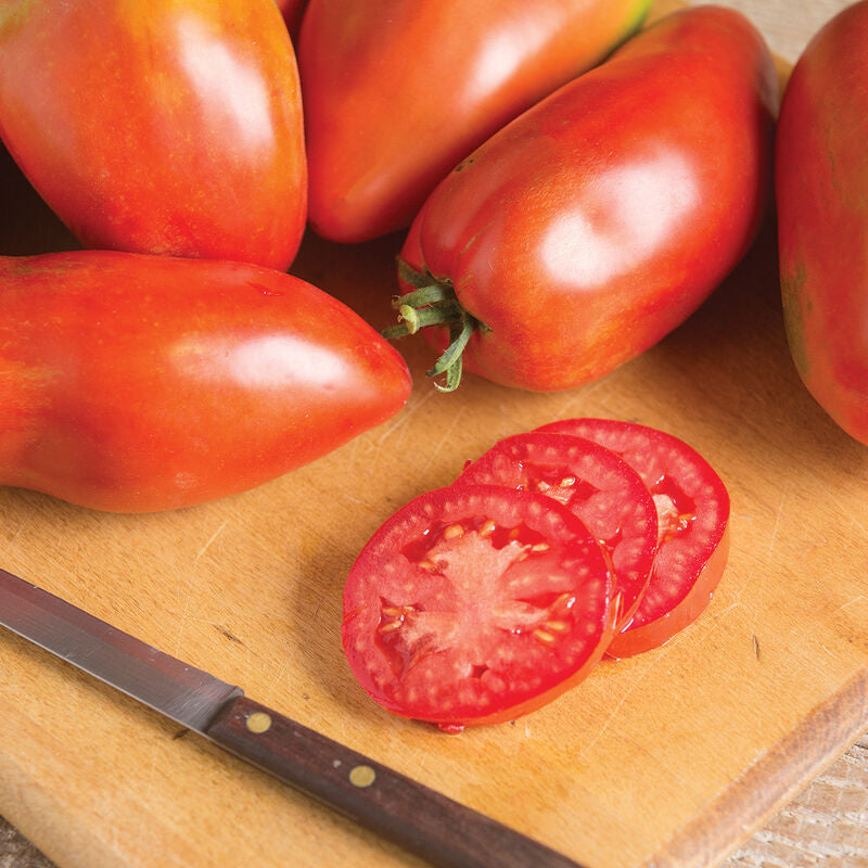 Blue Beech
Organic Tomato Seed