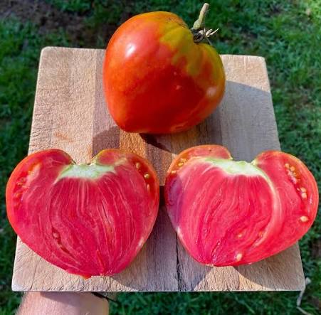 Hungarian Heart Tomato
