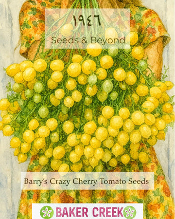 Crazy Barry’s Tomato