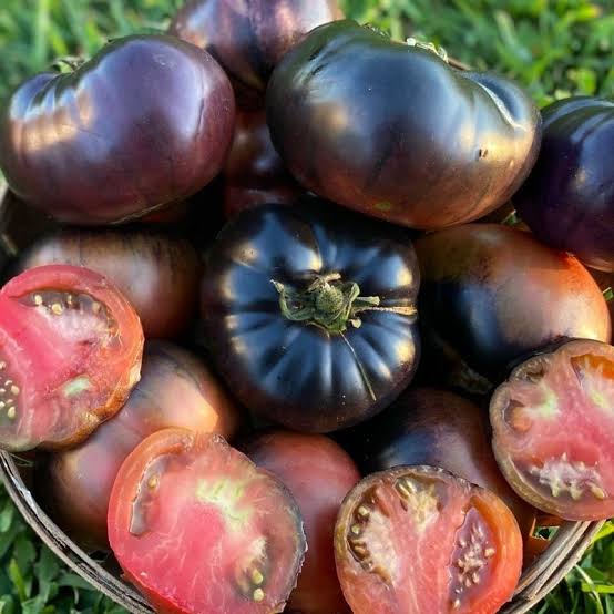 Black Beauty Tomato