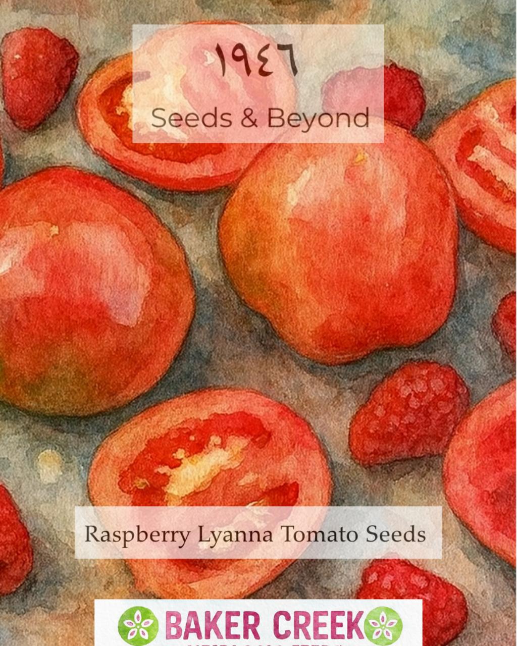 Raspberry Lyanna Tomato