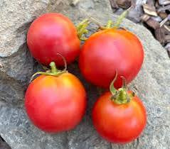 Raspberry Lyanna Tomato