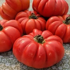 Burmese Sour Tomato