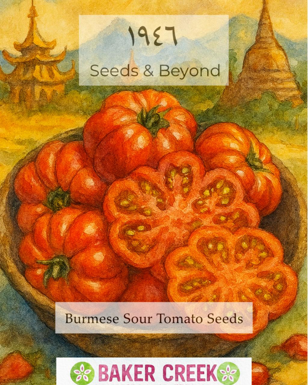 Burmese Sour Tomato