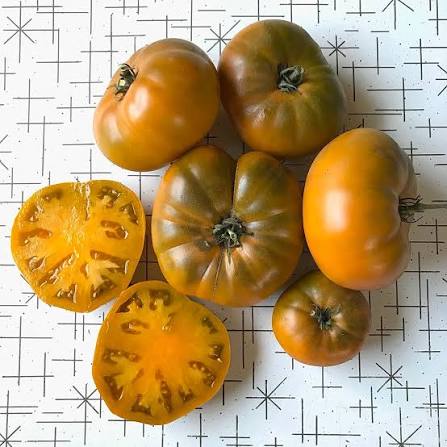 Uluru Ochere Tomato