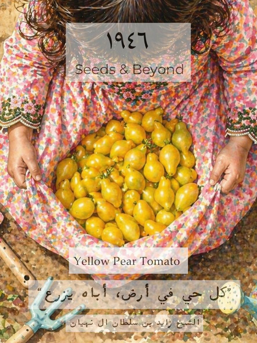 Yellow Pear Tomato