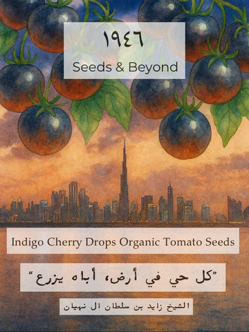 Indigo Cherry Drops
Organic Tomato Seed