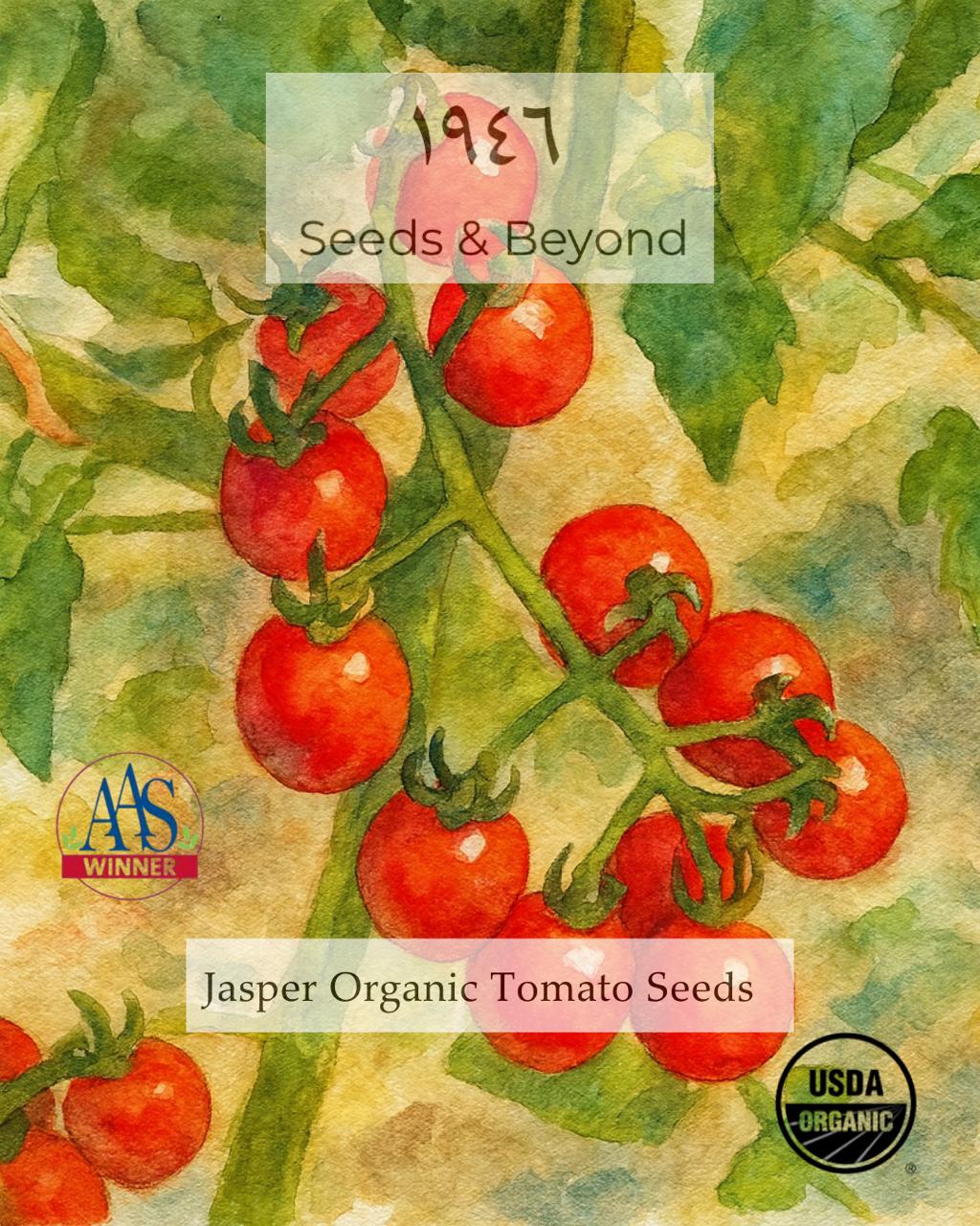 Jasper
Organic (F1) Tomato Seed