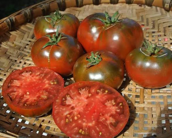 Paul Robeson Tomato