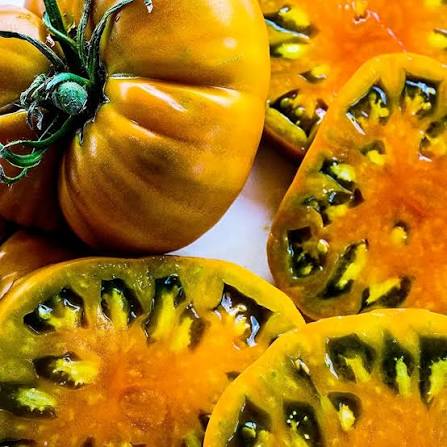 Thorburn’s Terra Cotta Tomato