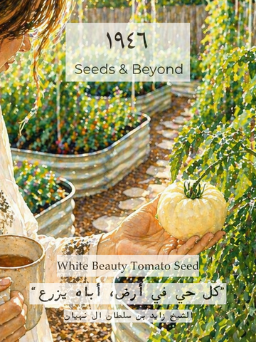 White Beauty Tomato