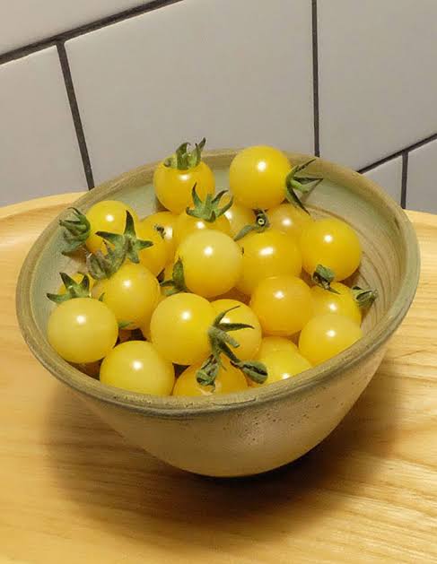 White Currant Tomato