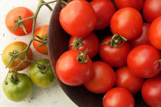 Camp Joy Tomato