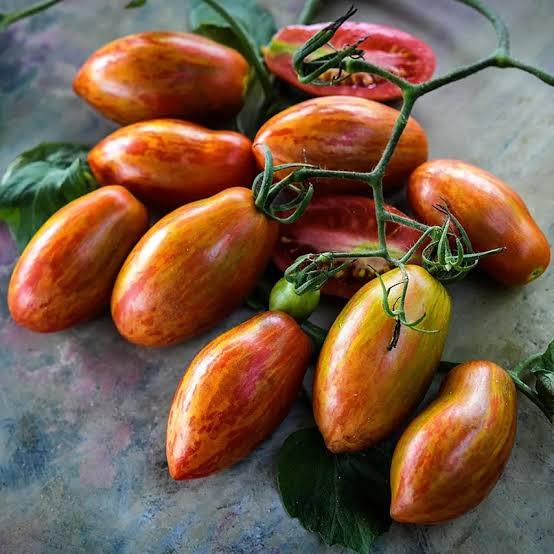 Prairie Fire Tomato
