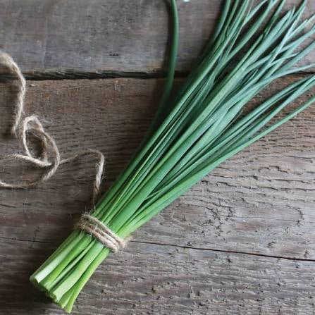 Staro Chive
