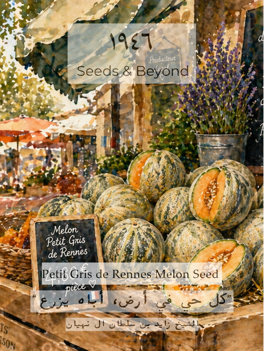 Petit Gris de Rennes Melon Seed