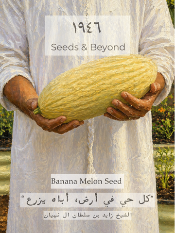 Banana Melon