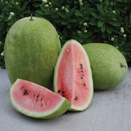Ali Baba Watermelon