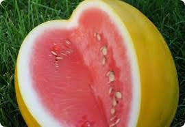 Royal Golden Watermelon