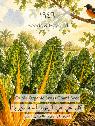 Oriole Organic Swiss Chard Seed