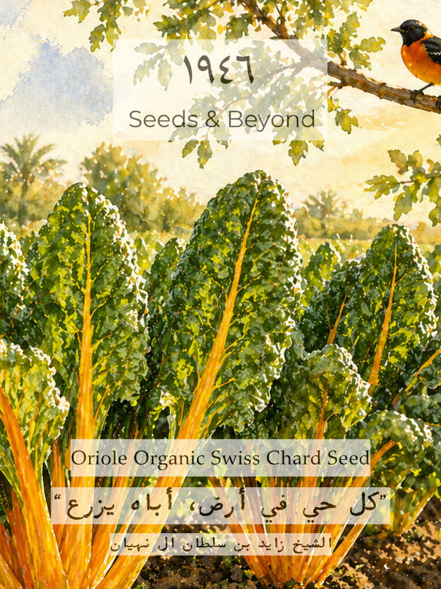 Oriole Organic Swiss Chard Seed