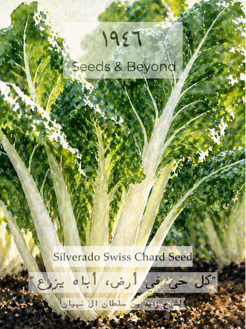 Silverado
Swiss Chard Seed