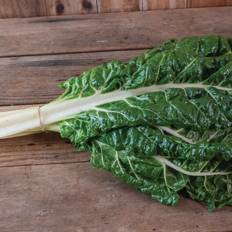 Silverado
Swiss Chard Seed