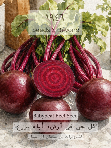 Babybeat
Beet Seed