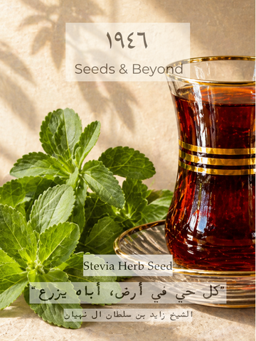 Stevia Herb Seed