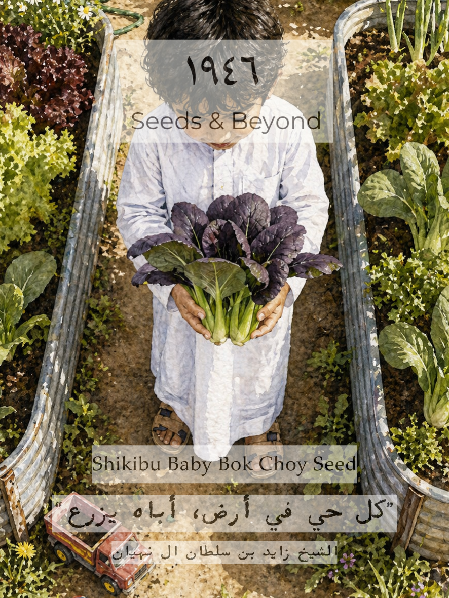 Shikibu
(F1) Bok Choi