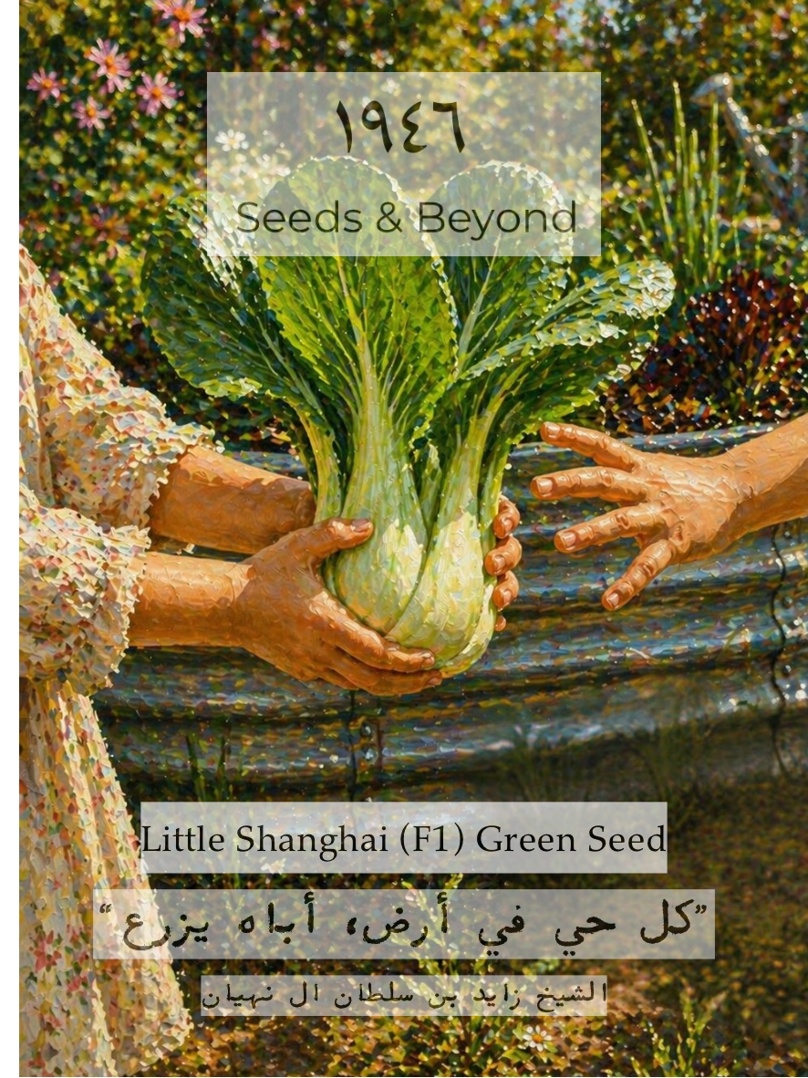 Little Shanghai
(F1) Bok Choi