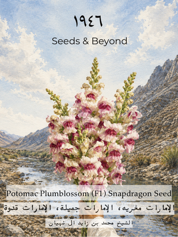 Potomac Plumblossom
Pelleted (F1) Snapdragon Seed