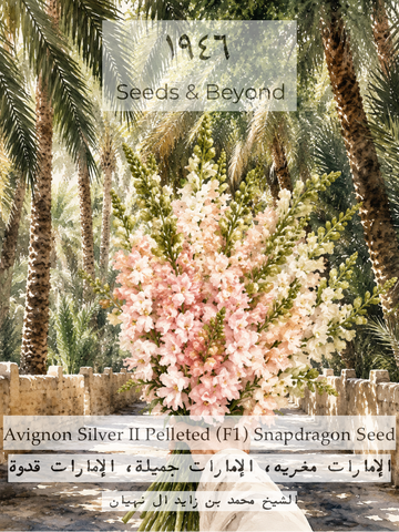 Avignon Silver II
Pelleted (F1) Snapdragon Seed
