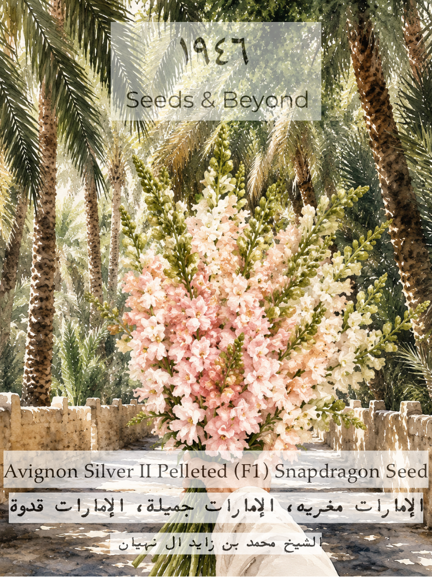 Avignon Silver II
Pelleted (F1) Snapdragon Seed