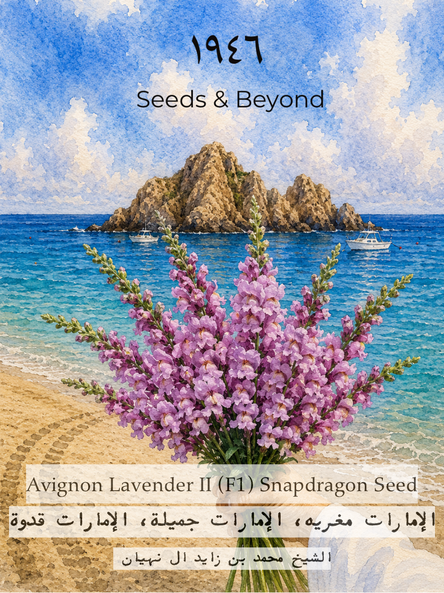 Avignon Lavender II
(F1) Snapdragon Seed