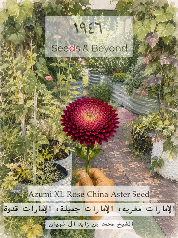 Azumi XL Rose
China Aster Seed