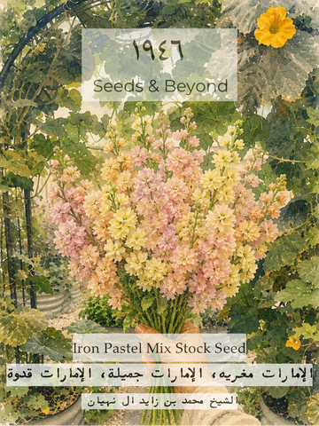Iron Pastel Mix
Stock Seed