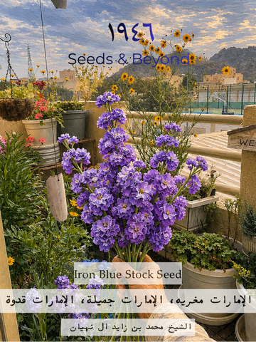 Iron Blue
Stock Seed