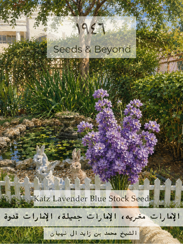Katz Lavender Blue
Stock Seed