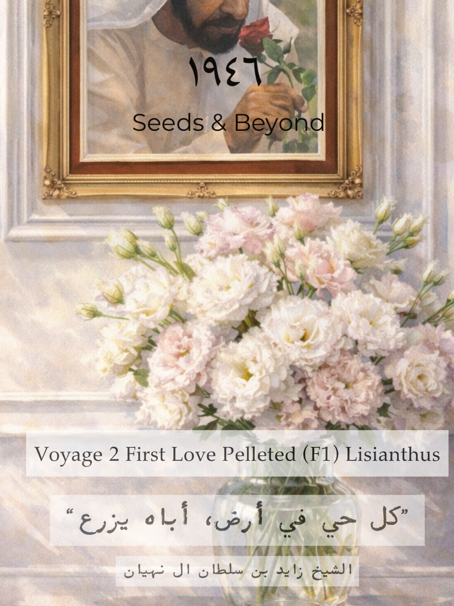 Voyage 2 First Love
Pelleted (F1) Lisianthus