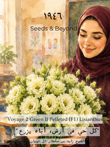 Voyage 2 Green II
Pelleted (F1) Lisianthus