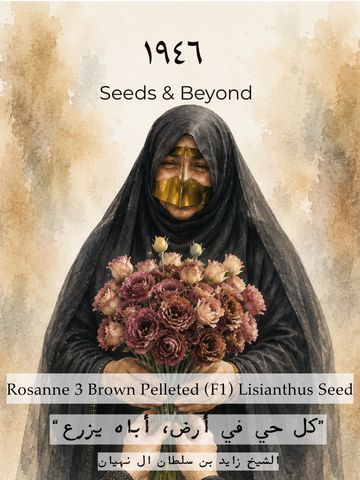 Rosanne 3 Brown
Pelleted (F1) Lisianthus Seed