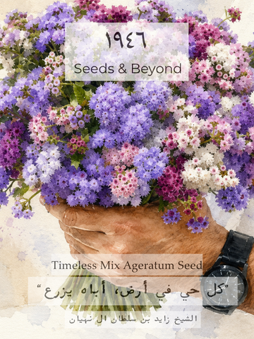 Timeless Mix
Ageratum Seed