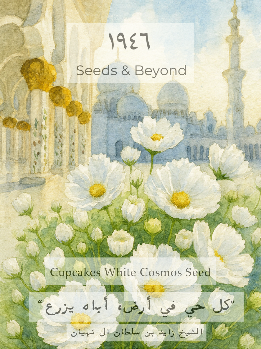 Cupcakes White
Cosmos Seed