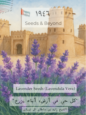 Lavender Seed