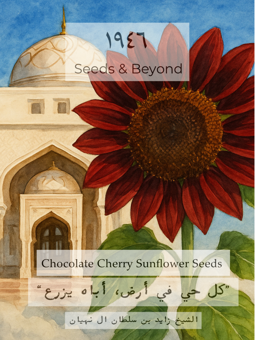 Chocolate Cherry Sunflower
