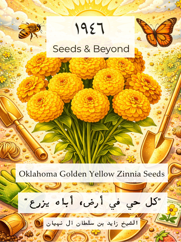 Oklahoma Golden Yellow
Zinnia Seed